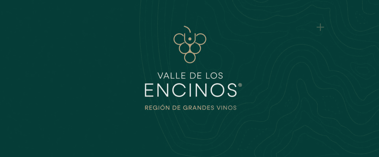 Valle de los Encinos — región de grandes vinos